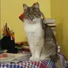 Отзыв от Яна Голованова